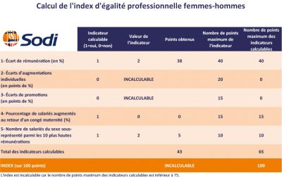 Index égalité professionnelle femmes hommes 2019