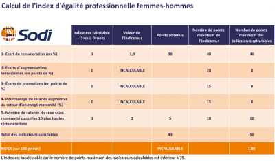 Index égalité professionnelle femmes hommes 2020